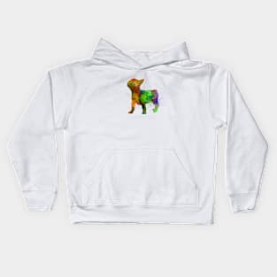 French Bulldog 01 Kids Hoodie